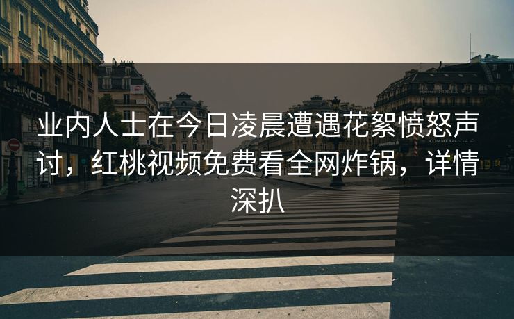 业内人士在今日凌晨遭遇花絮愤怒声讨，红桃视频免费看全网炸锅，详情深扒