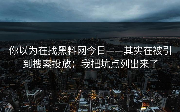 你以为在找黑料网今日——其实在被引到搜索投放：我把坑点列出来了